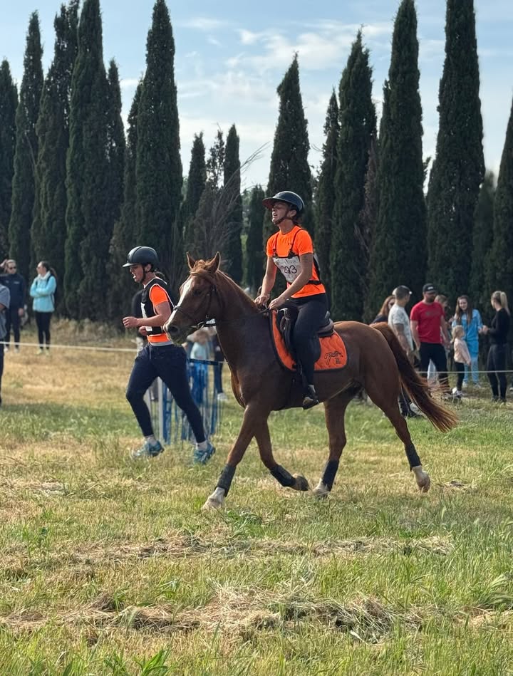 Ecurie  de  La SERRE