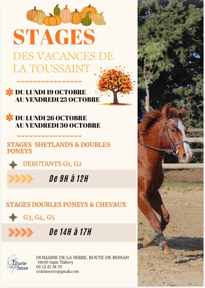 Ecurie  de  La SERRE